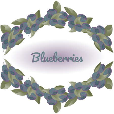 Wreath of bushes of blueberries on white background, in the center text Blueberryies. Vector illustration for design of packaging, stikers, flyers, postcards, posters.のイラスト素材