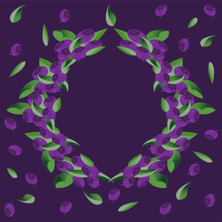 Wreath of bushes of blueberry on dark background. Vector illustration for design of packaging, stikers, flyers, postcards, posters.のイラスト素材