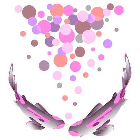 Set with fish, multi-colored carp Koi on white background, Cyprinus Carpioのイラスト素材