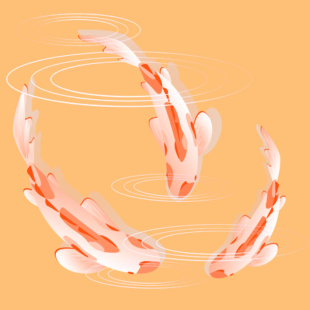 Set with fish, carp koi in water. Vector illustration, Cyprinus Carpio.のイラスト素材