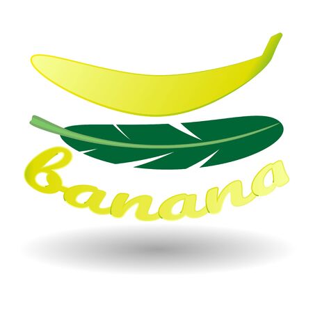Tropical banana fruit, banana leaf, text, shadow, on white background. Realistic vector image for design. Isolated object.のイラスト素材