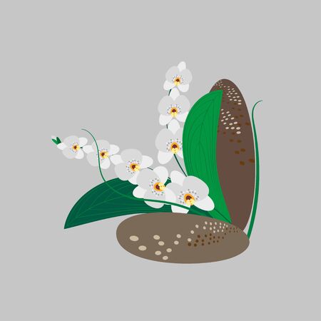 Composition of white orchids and decorative stones. Spa stones and flowers for beauty salon, yoga center. Vector illustration for wedding design, invitation, advertising, business cards, social pagesのイラスト素材