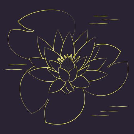 Lotus flower and leaves, water lily. Contour drawing of gold color on dark background. Vector illustration for design botanical collection.のイラスト素材