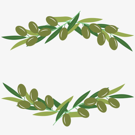 Olive tree branches with green olives, frame, border, place for text. Vector illustration in trendy green colors for design, farmers market decoration, food labels, banners, stickers.のイラスト素材