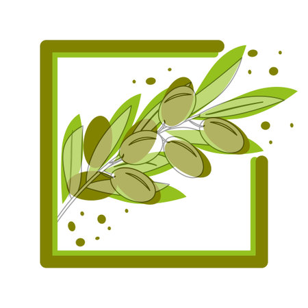 Olive tree branches with green olives, decorative frame. Vector illustration in bright green colors for design, farmers market, food labels, banners, stickers, textiles in watercolor style.のイラスト素材
