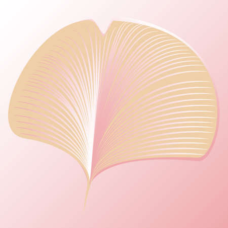 Close-up of ginkgo biloba leaf in delicate pink color with veins. Vector illustration for logo design in minimalistic outline style.のイラスト素材