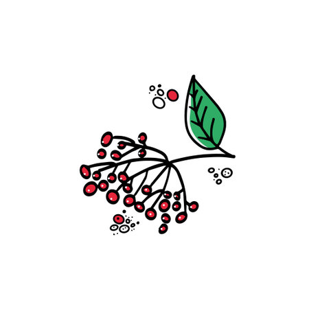 Winter bouquet, rowan branch drawn by hand. Sketch is drawn with black ink. Vector illustration for textile design, banners for holidays, for Christmas.のイラスト素材