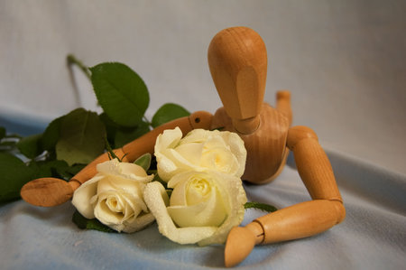 puppet with rosesの写真素材