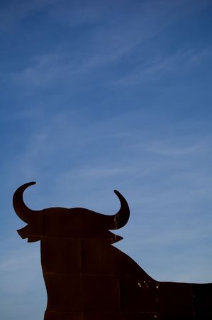 Spanish bullの写真素材
