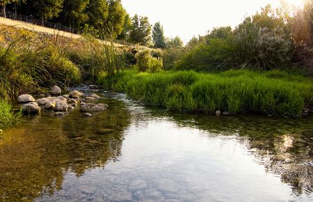 torrentの写真素材