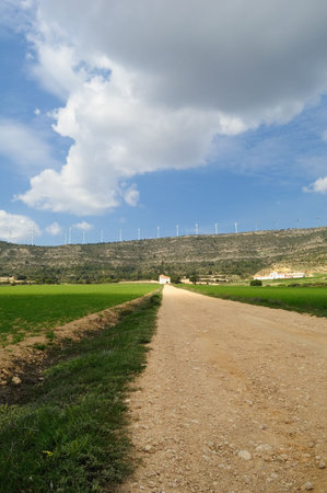 Renewable energy: wind power in a spanish landscape
