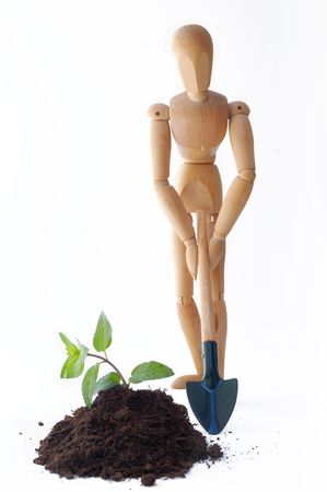 Cultivation of a plant, a new idea concept. Puppy with agricultural equipmentの写真素材