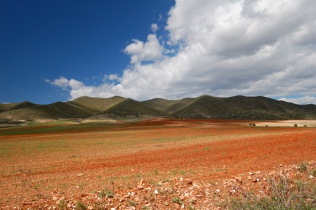Typical Spanish landscape - Andalusiaの写真素材