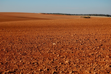 Spanish field in winter with soil detailの写真素材