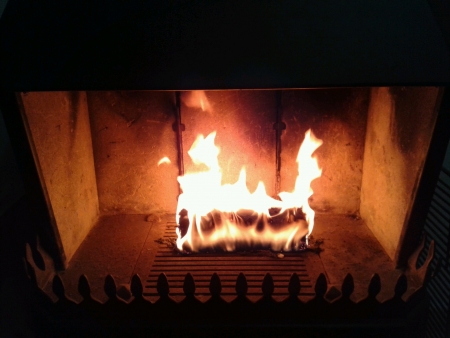 Fireplace with woodの素材