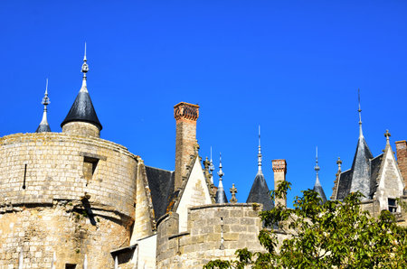 The city of Montreuil-Bellay, located on the edge of Thouet, has an exceptional medieval heritage....