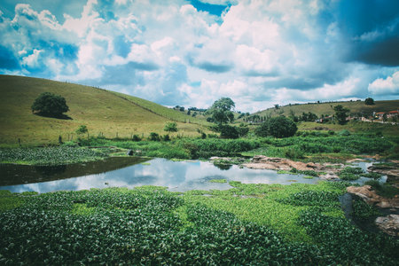 Landscape of green field with pond and blue sky background - vintage filterの写真素材
