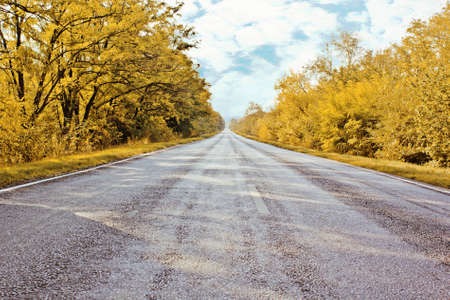 Autumn road going far awayの写真素材