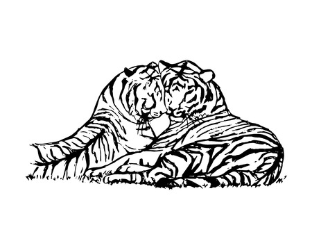 Graphic picture of wild cats. Two tigers lie next to. Abstract tigers pattern on white background, vectorのイラスト素材