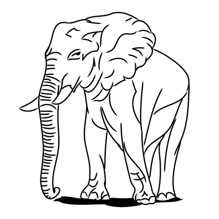 Graphic image of a large elephant. The picture of a elephant on a white background. The contour of the animal. Vector illustrationのイラスト素材