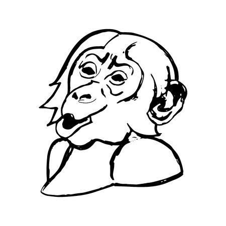 The graphic image of the monkey. The head of a monkey. The freehand drawing.のイラスト素材