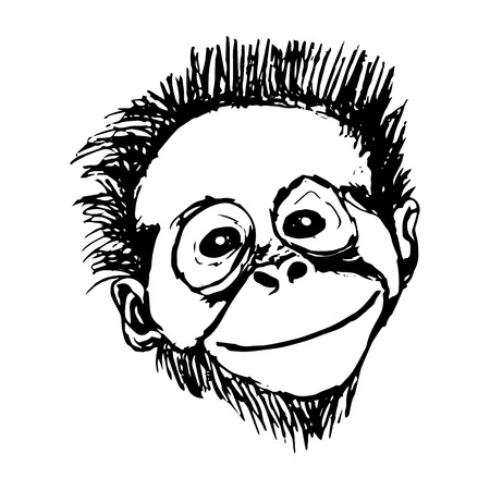 Graphic image of a monkey with a smile, vector illustration on white backgroundのイラスト素材