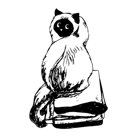 Graphic image of a cat, fluffy sweetheart. Figure handle from the hand on white paper. Vector on white background, abstract.のイラスト素材