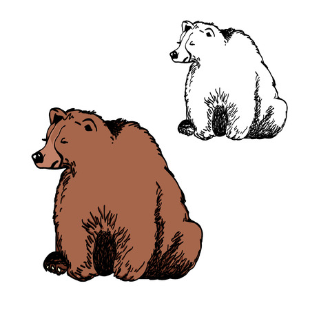 Color drawing of a brown bear and its outline on a white background, vector illustrationのイラスト素材