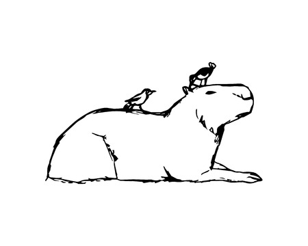 Capybara and birds on white background abstract illustrationのイラスト素材