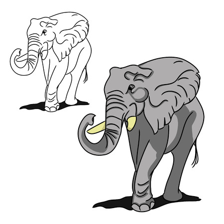Graphic image of a large elephant. The picture of a gray elephant on a white background. The contour of the animal. Vector illustration of (set of two drawings)のイラスト素材