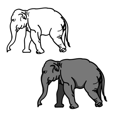Graphic image of a large elephant. The picture of a gray elephant on a white background. The contour of the animal. Vector illustration of (set of two drawings)のイラスト素材