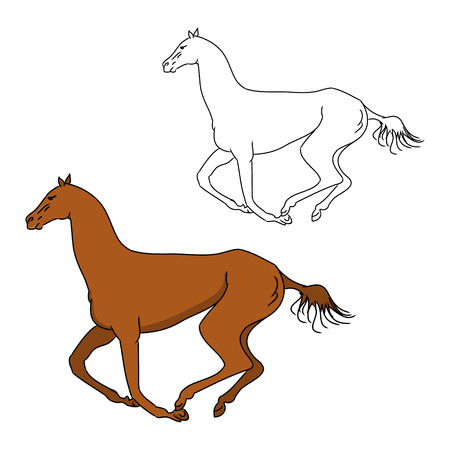The gallop of the horse outline and color pattern, vector illustration on white backgroundのイラスト素材