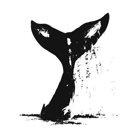 Whale tail out of the water picture on white background, abstract vector illustrationのイラスト素材