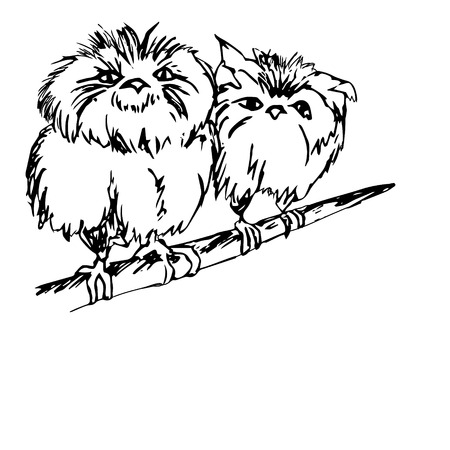 Graphic image of an owl, two birds. Two Chicks sitting on a branch little owls. The freehand drawing pen. Vector illustration on a white background.のイラスト素材
