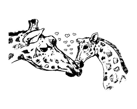 giraffe with cub vector illustration on white backgroundのイラスト素材