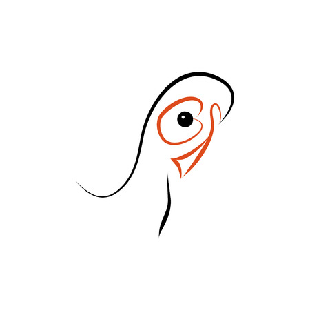 The head of the bird with red beak on white background vectorのイラスト素材