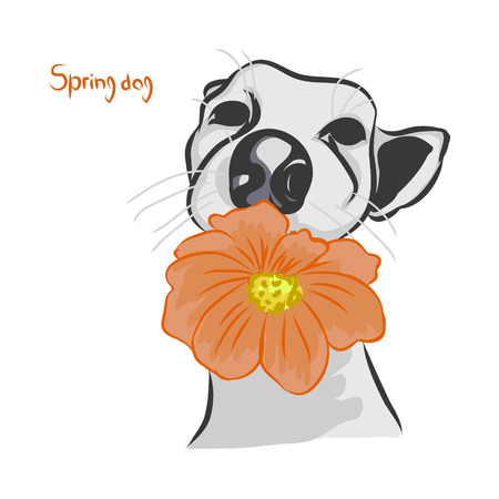 The dog with the orange flower on white background, vector illustrationのイラスト素材