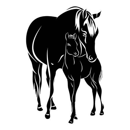 Mare with foal - black silhouette horse on white background, vectorのイラスト素材