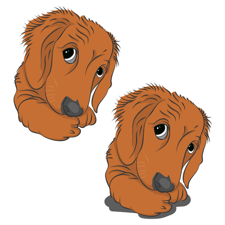 Head of a cute puppy on white background, vector illustrationのイラスト素材