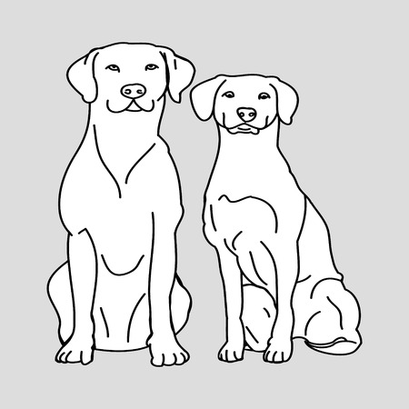 Contour two white dogs, vector illustrationのイラスト素材