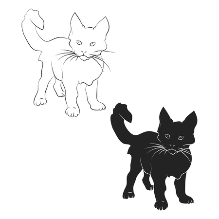 Contour and silhouette of the kitten on white backgroundのイラスト素材