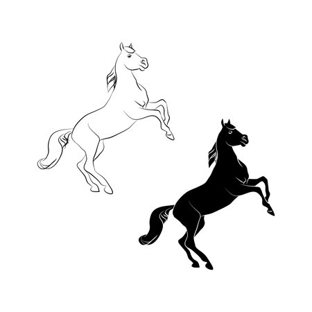 Horse on back legs, outline and silhouette on white background, vector illustration.のイラスト素材
