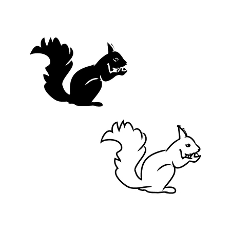 Squirrel on white background, in colors black and white.のイラスト素材