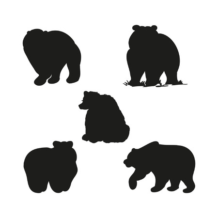 Black bear silhouette, set of illustrations on white 
backgroundのイラスト素材