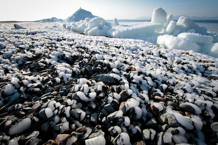 Panorama of the winter seashore.の写真素材