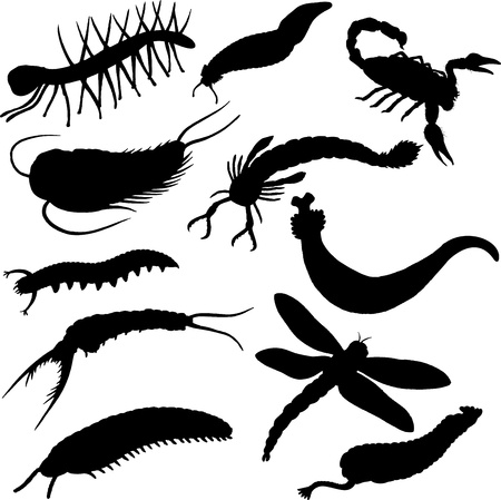 prehistoric arthropods silhouettesのイラスト素材