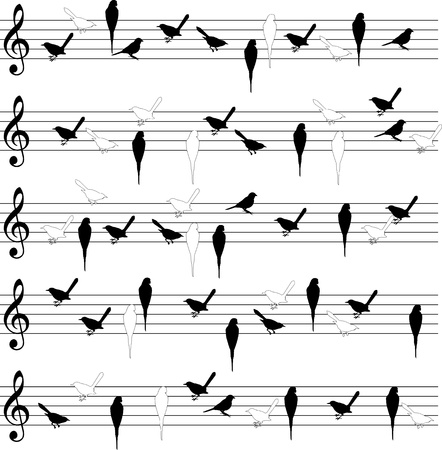 Bird notation linesのイラスト素材