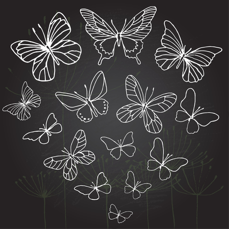 Vector illustration. Silhouette of plant with line vector butterfly.のイラスト素材