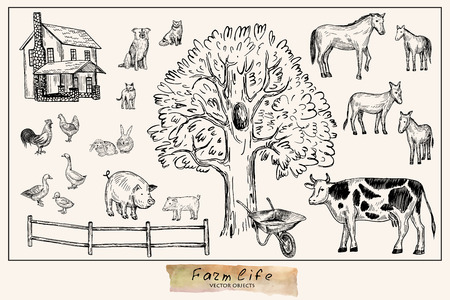 Vector illustration. Pen style drawn farm animals set:cow,horse, donkey, pig, rabbits, duck, hen, cock, dog, cats. Vector objects.のイラスト素材