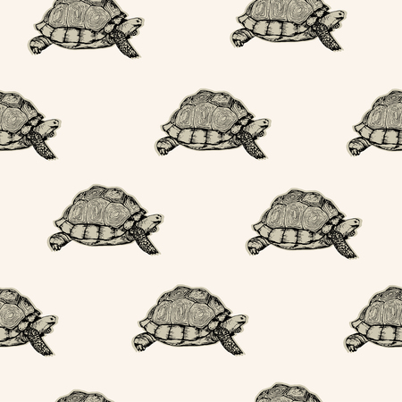 Pen drawn vector turtles. Element of seamless pattern.のイラスト素材